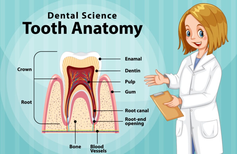 Image by brgfx on Freepik